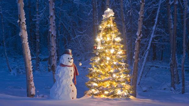 weisse weihnachten faktencheck zur haeufigkeit frueher und heute